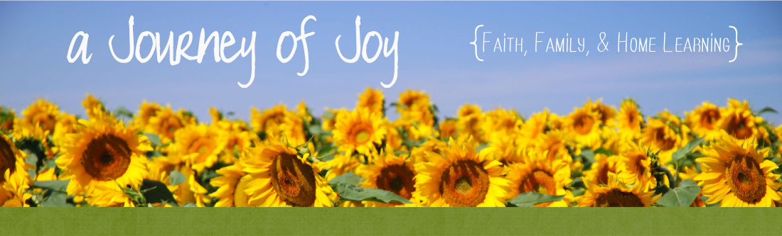 A Journey of Joy