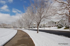 Snow Day!