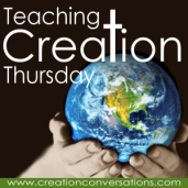 Teaching Creation Thursday ~ Grand Canyon and a giveaway!