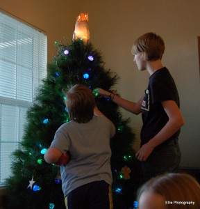 Christmas tree ~ family traditions